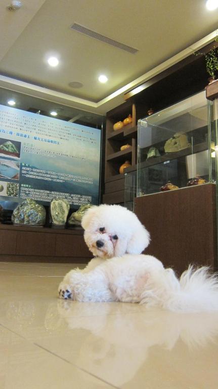 客至軒一館 Hualien City Exterior photo